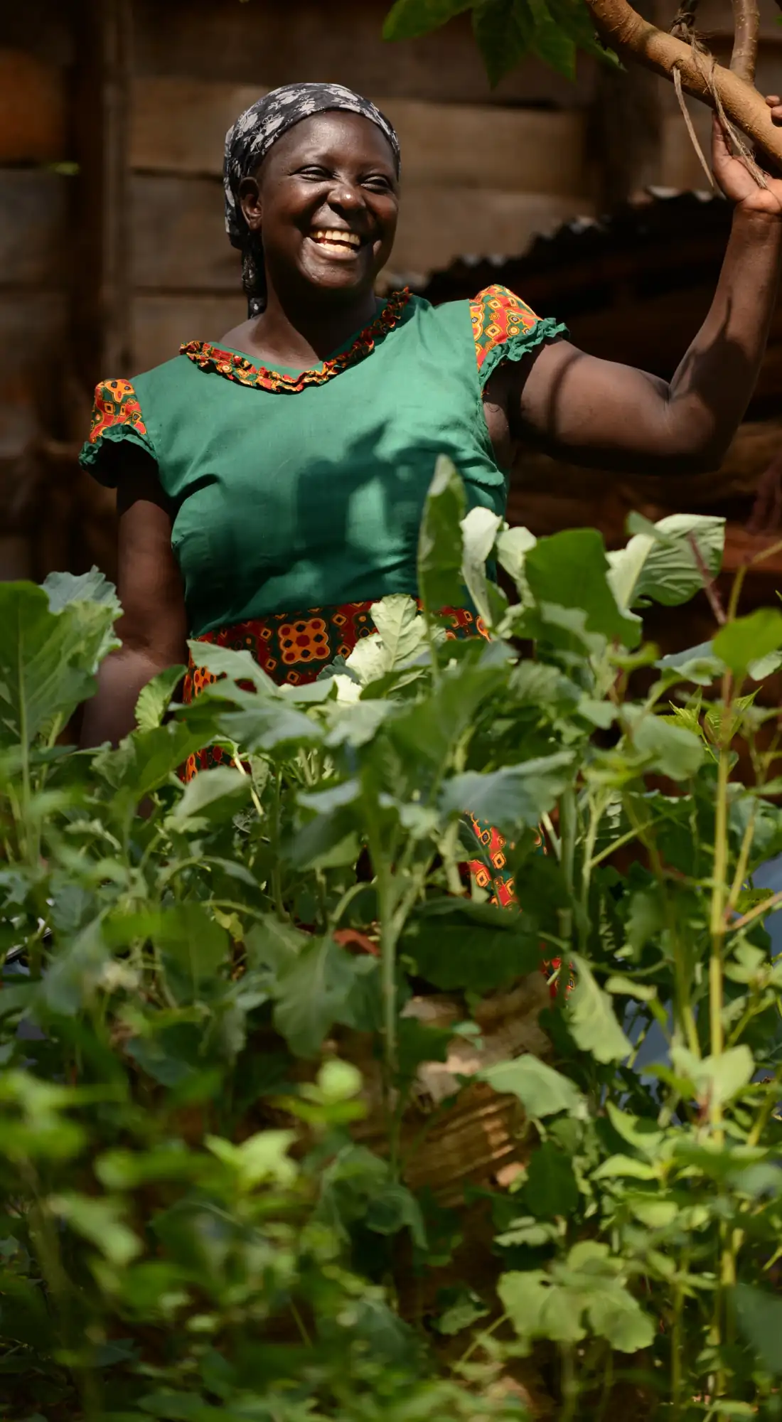 Une femme souriante au Kenya, au milieu de ses cultures maraîchères